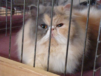 20121021_96 (Expo)